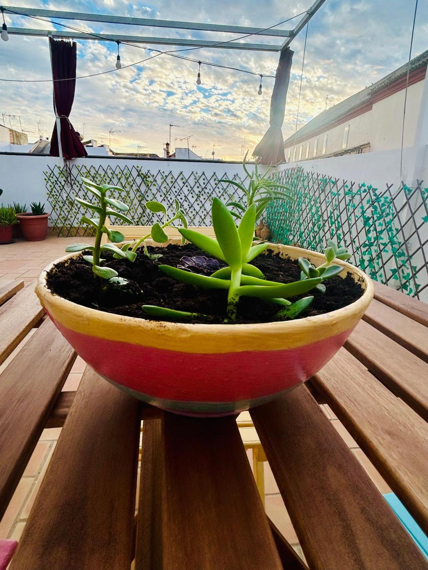 La Azotea Del Sol Appartement Sevilla Buitenkant foto